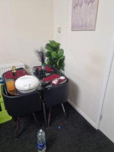 cozy 2 newly furnished apartment