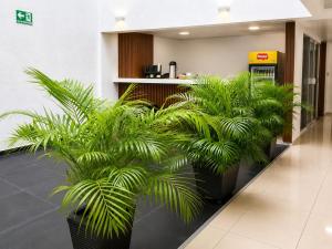 Hotel Gama Cartagena