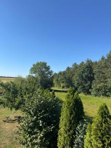 Apartament na poddaszu