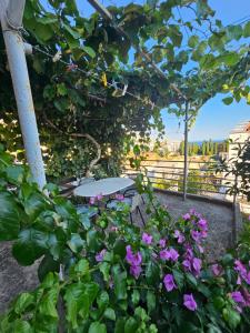 Zlatni apartman
