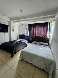 Cute apartment close to the airport American Embassy and conecta