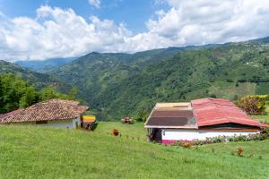 Finca Leonora Coffee