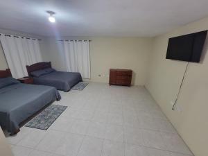 Ingrid suite