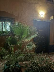 Grand Riad 4 chambes & Piscine