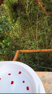Glamping el gran caimán