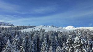 Luxury Penthouse Ski-in andout Panoramic View
