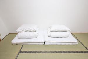 Kamiyama Mansion - Vacation STAY 14621