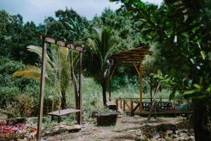 Rừng Cafe & Glamping