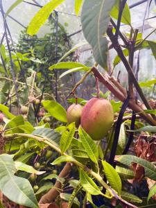 HolidayCottage”BANSHIRO” - Vacation STAY 10623v