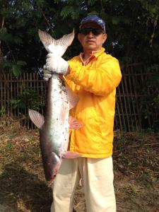 Ashigarashimogun - House - Vacation STAY 19326