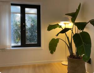 Private house with pets allowed , Daldam Aewol