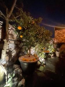 Private house with pets allowed , Daldam Aewol