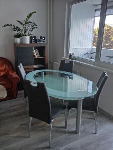 Apartmán v centre Sniny