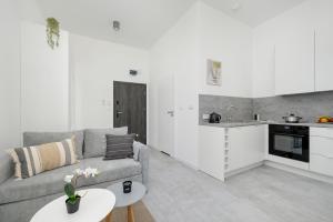 Cozy Studio- Chmielewskiego