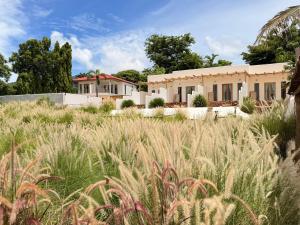 Kamari Cafe&Resort Kohlarn คามารีคาเฟ่แอนด์รีสอร์ทเกาะล้าน