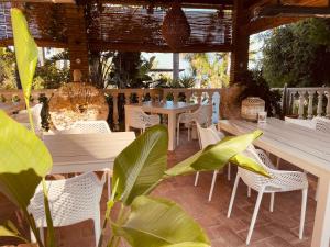 Finca La Vida Loca- For adult guests