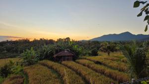 Pondok Dharmakirti - Hidden Gem Homestay & Coffee