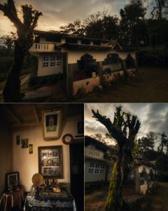 Antique bee tee homestay