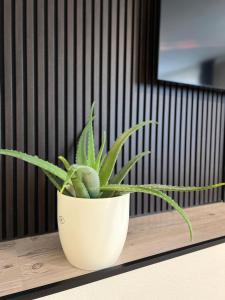 Ferienwohnung Stoll - modern, mit Ausblick & Grill