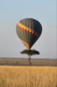 Spirit of wilderness Ltd