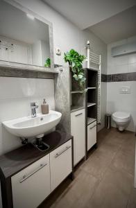 Apartment Zvoncek