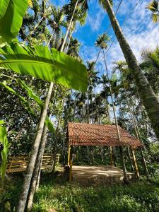 Adventurous Wild cottages