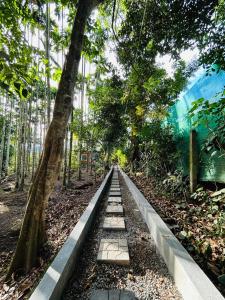 Adventurous Wild cottages