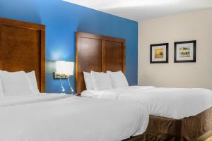 Comfort Inn Garner Clayton I-40
