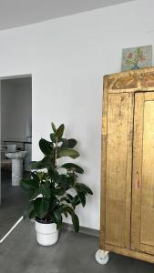 Arazzo Apartments
