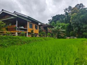 Peado Homestay