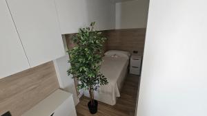 Benalmádena Luxury Sea View Apartment