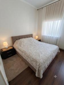 Apartment near University