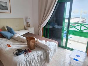 VolKKanrentals BeachFront House 4P