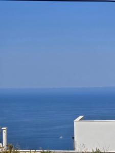 Apartment Vila Mirela