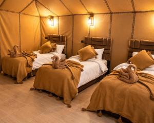 Merzouga Sunset Luxury Camp