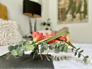 Premium Penthouse Seasonal Rental