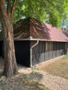 Nyírfaliget Guesthouse & Camping