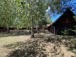 Nyírfaliget Guesthouse & Camping