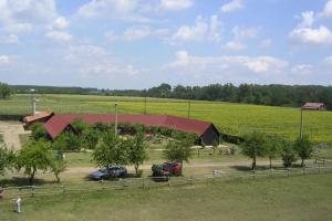 Nyírfaliget Guesthouse & Camping
