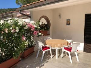 Casa Raiko