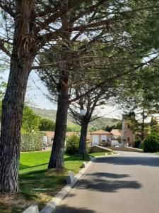 Le jardin des Alpilles