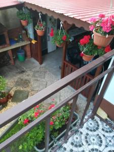 Casa Silica
