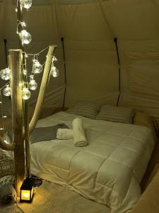 Glamping in the woods above the lake