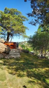 Glamping in the woods above the lake