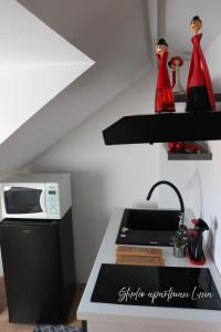 Studio Apartman Luna