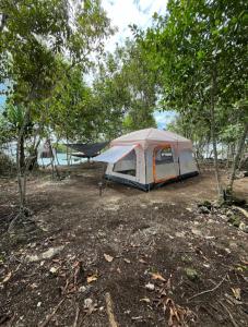 Bakaubiru ceo camping