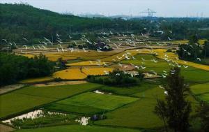 Nhà ở kết hợp dịch vụ lưu trú tham quan trải nghiệm