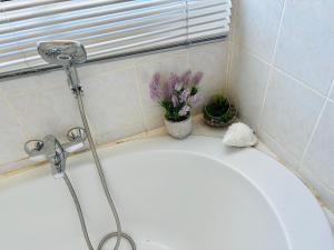 Vista109