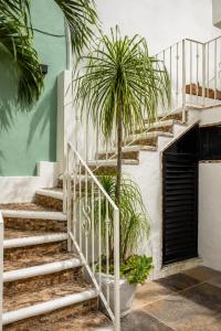 Casa Magu Merida