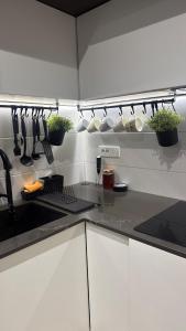 New Belgrade - 1 bedroom modern apartment with garage